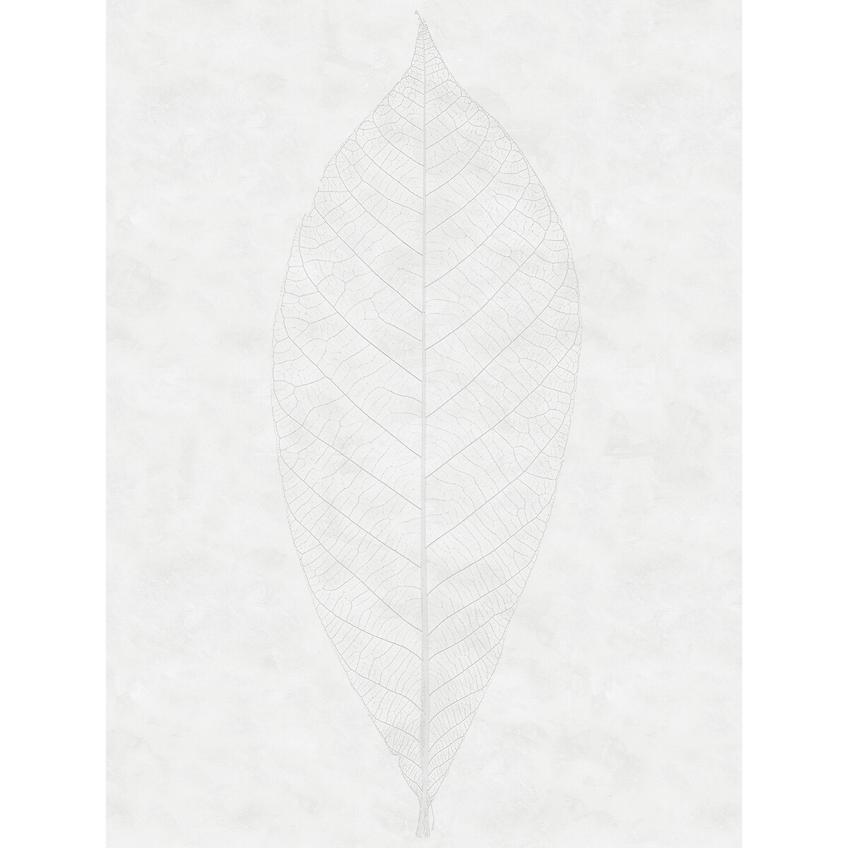 Papel de parede foto mural Decent Leaf, da Interelife multicolor, INTERELIFE