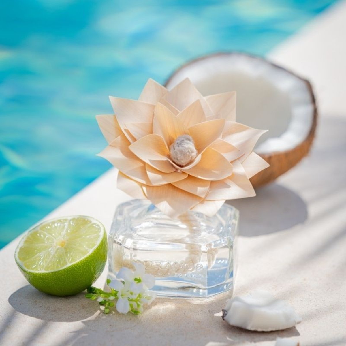 Fleur parfumée EAU DE COCO couleur unique, DURANCE