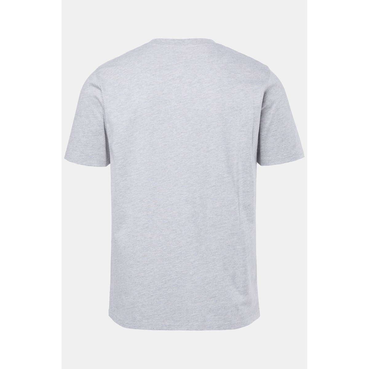 T-shirt, manches courtes et imprimé poitrine gris chiné, JP1880