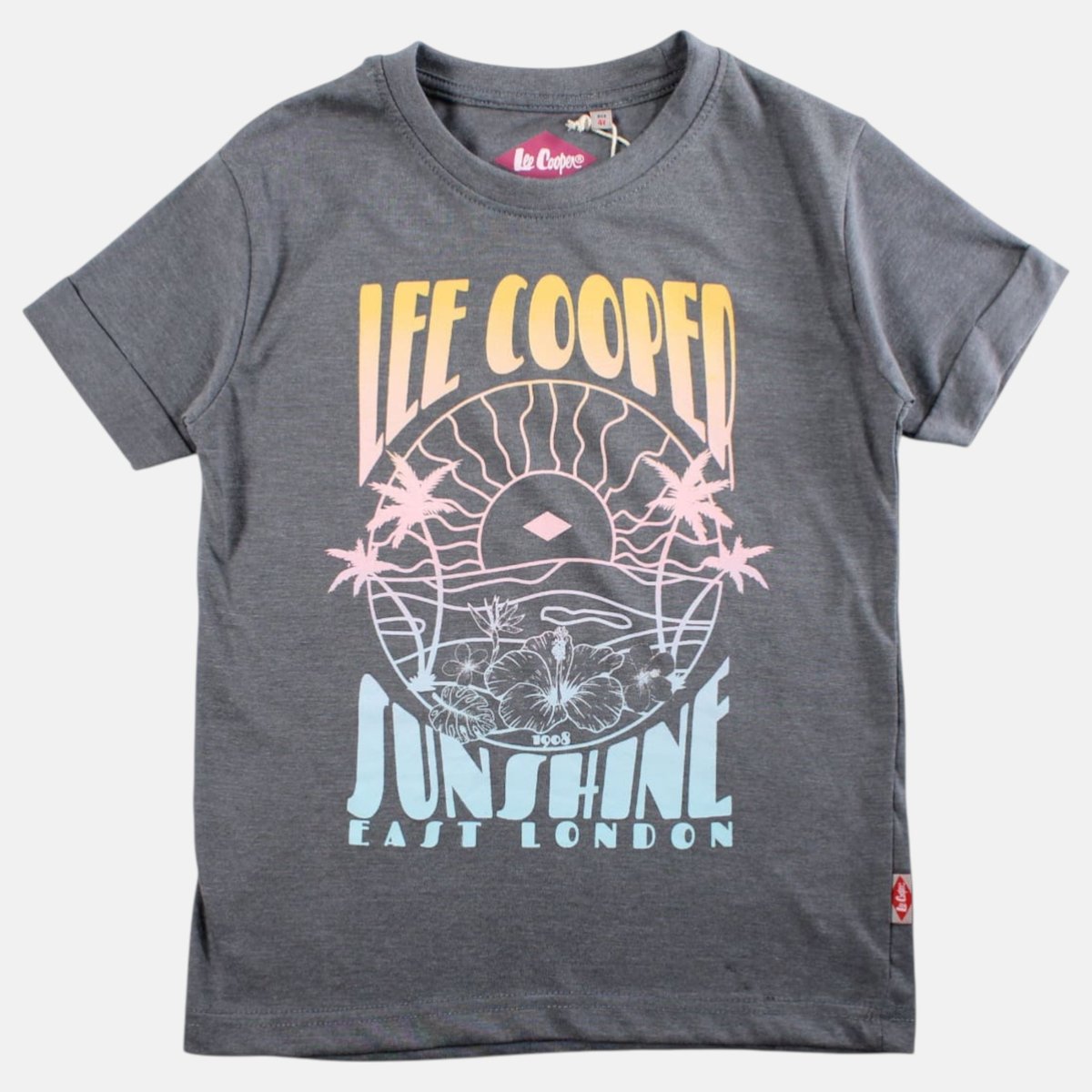 T-shirt manches courtes imprimé, col rond gris anthracite, LEE COOPER