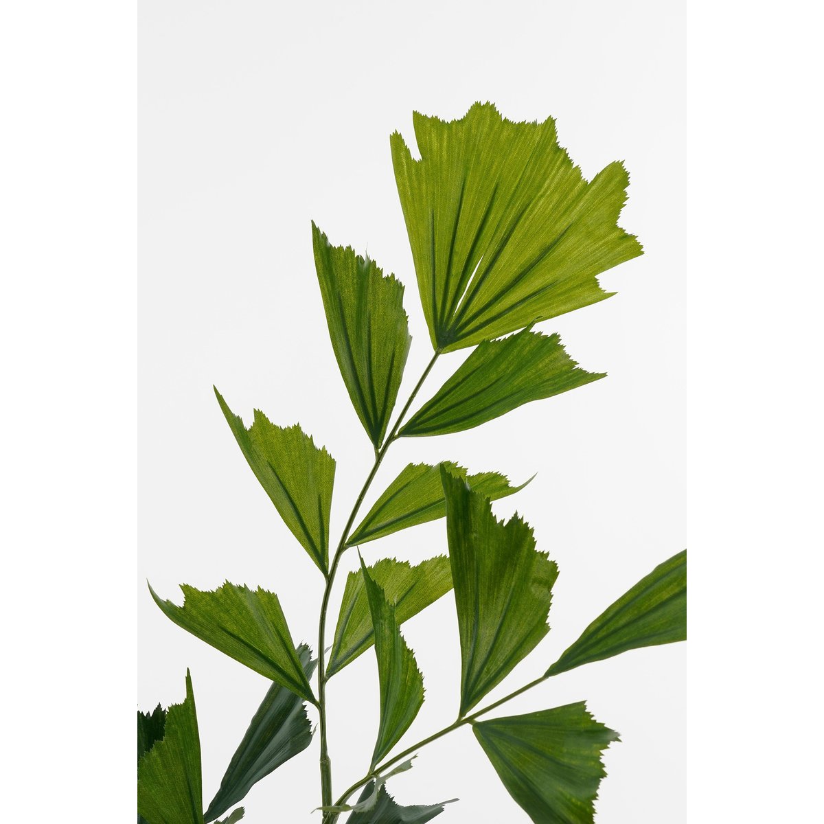 Plante artificielle FISHTAIL PALM vert, MICA DECORATIONS