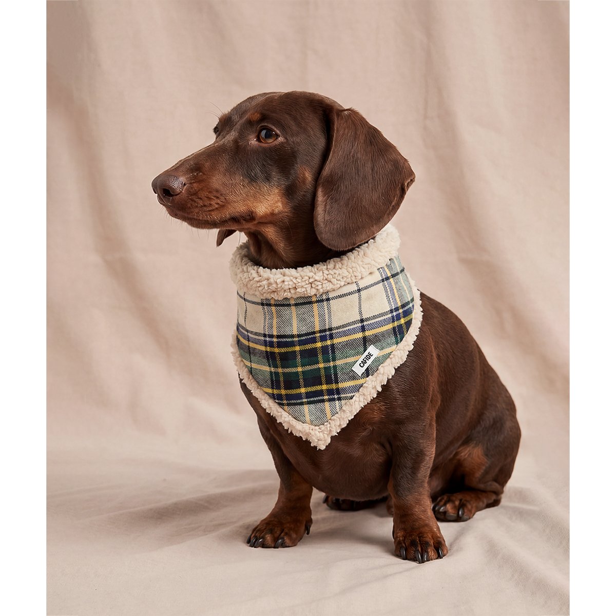 Bandana tartan beige pour chien, Nata beige, CAFIDE