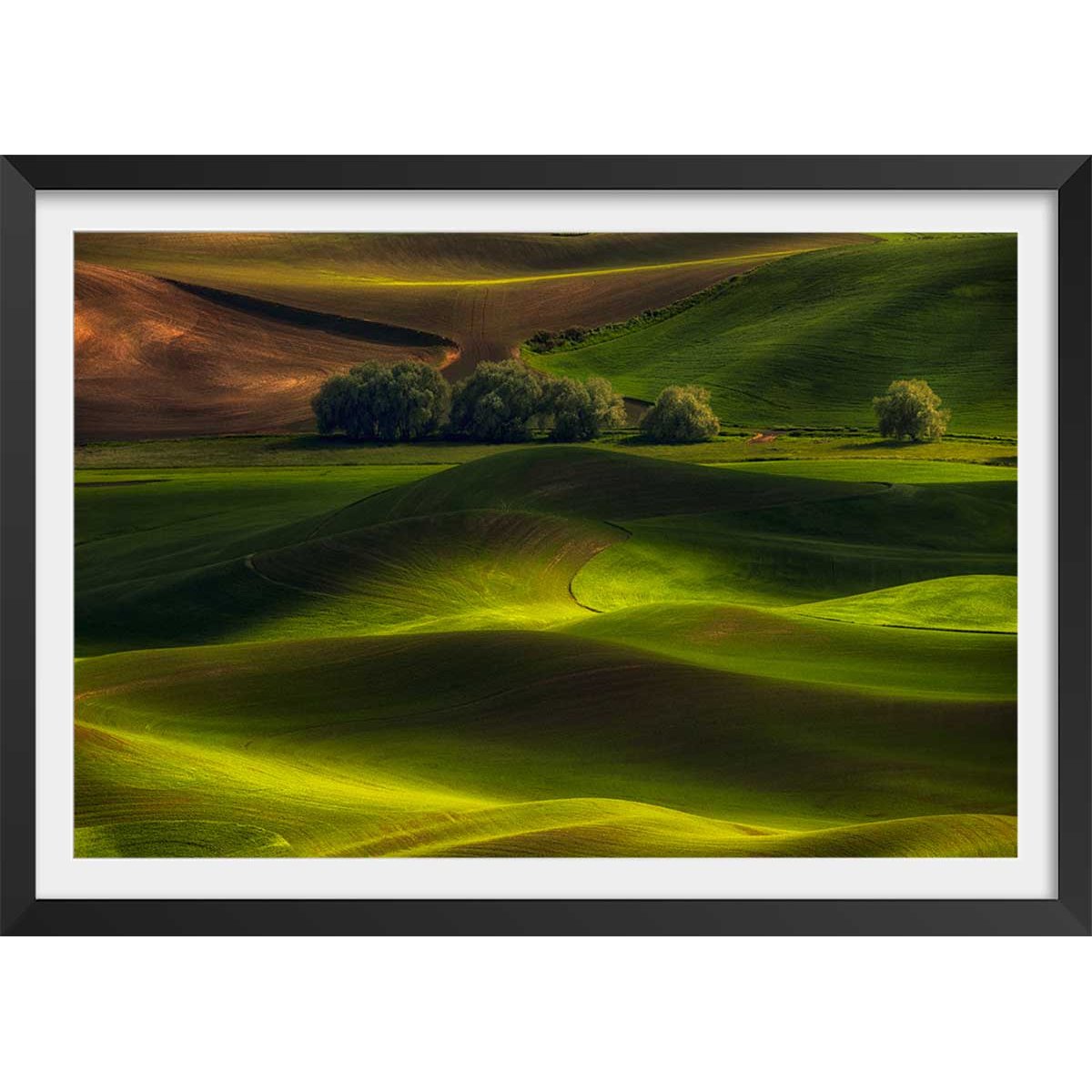 Affiche Colline USA affiche + cadre en bois - noir, HEXOA