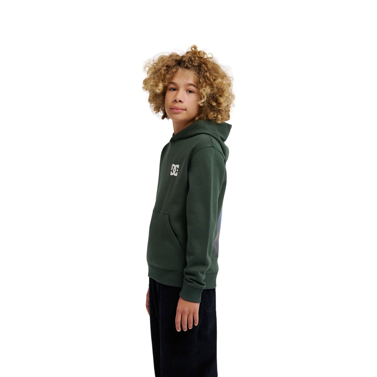 Sweat capuche PUSHING FORWARD. vert deep forest, DC SHOES