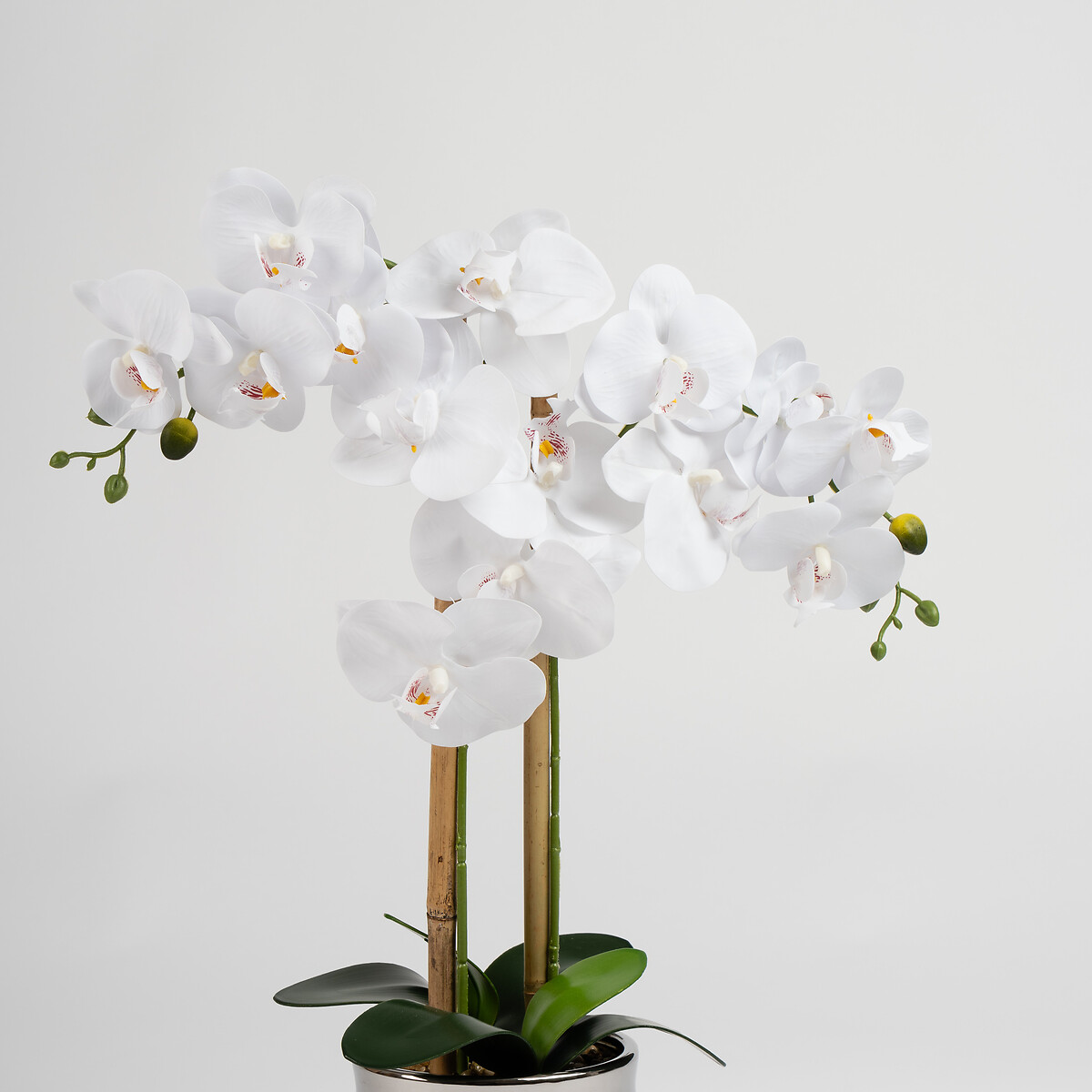 54cm White Orchid in Silver Ceramic Pot white, SO'HOME