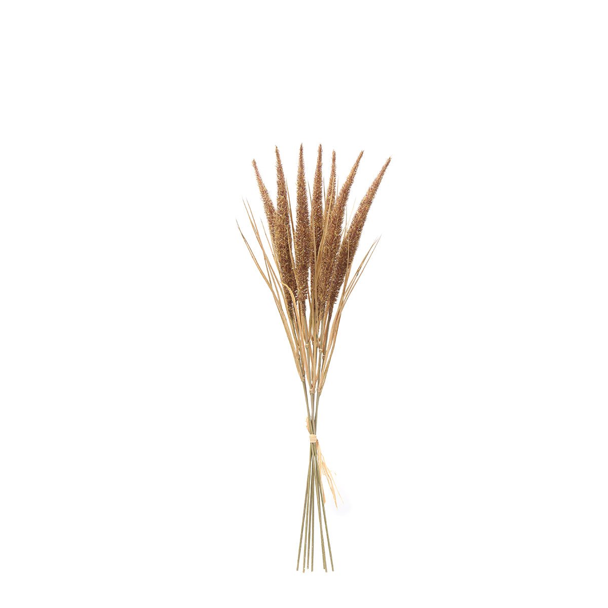 Bouquet de pampa 7 tiges artificielle H50 marron, SIA DECO