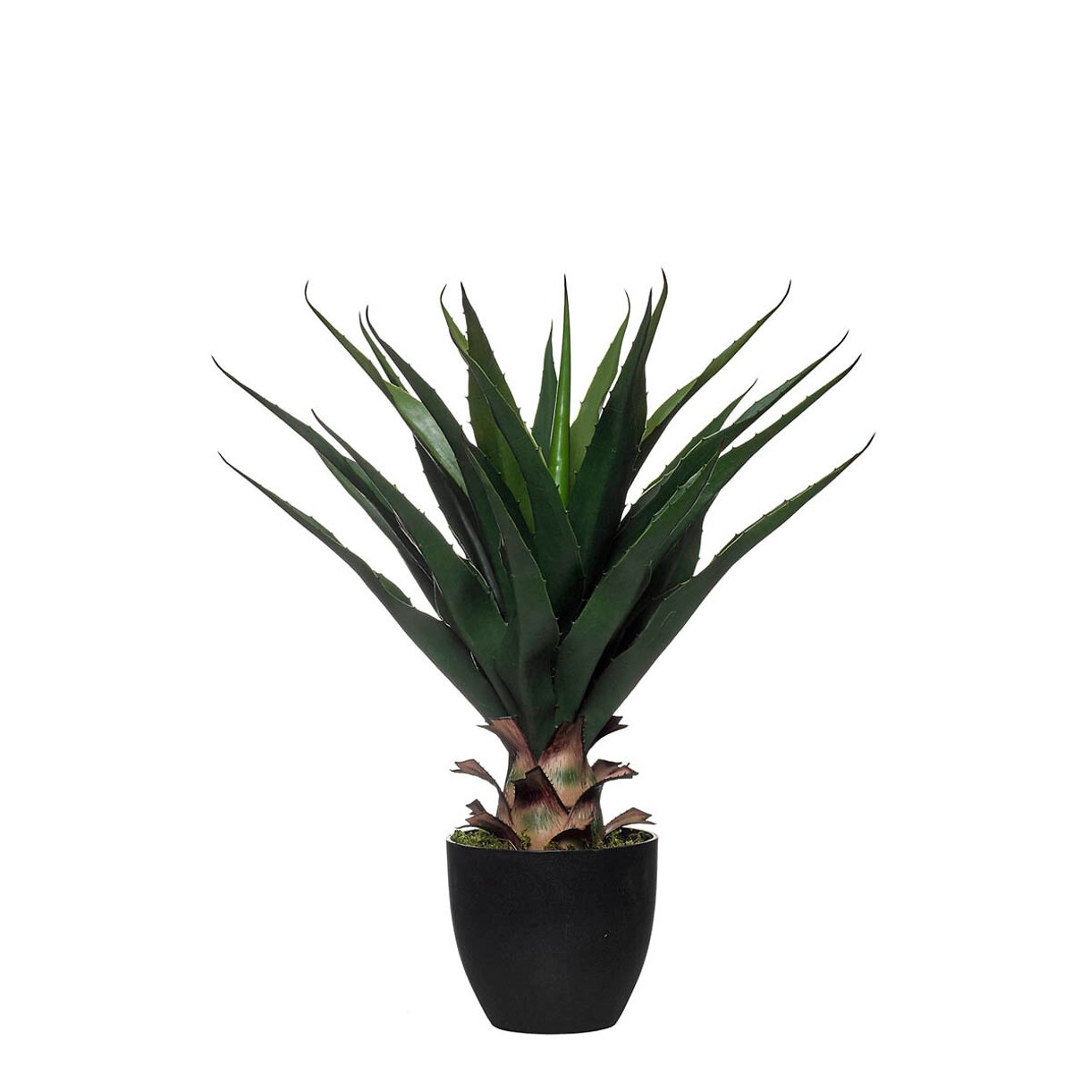 Planta artificial "Aloe" 73cm, BORGHESI verde, BORGHESI