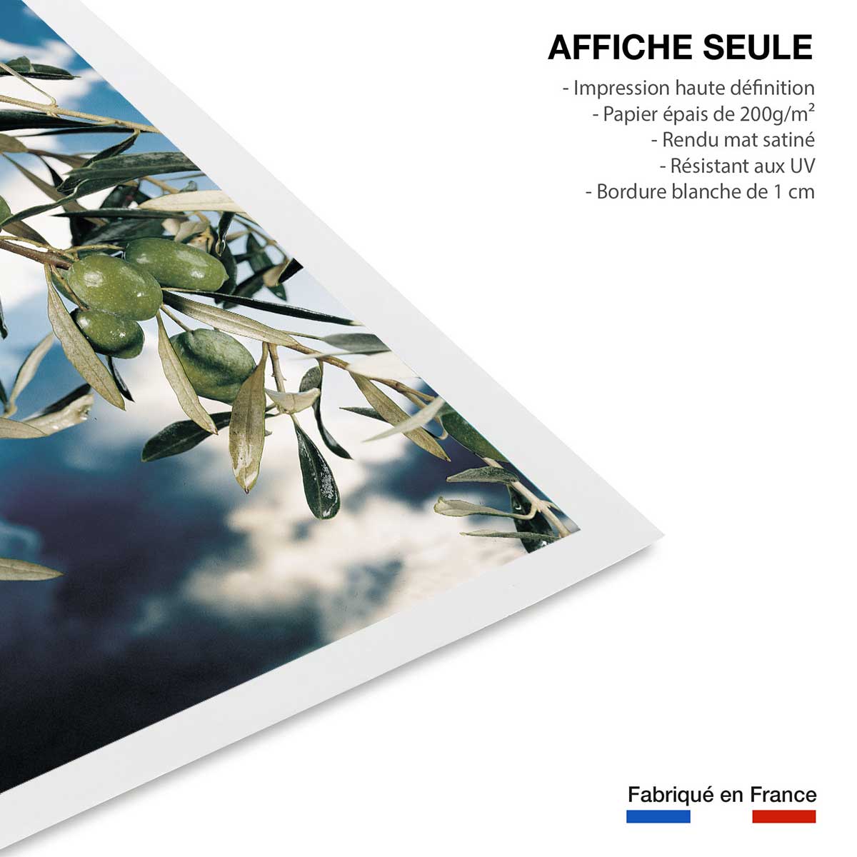 Poster kalamata, olivier grec affiche seule, HEXOA
