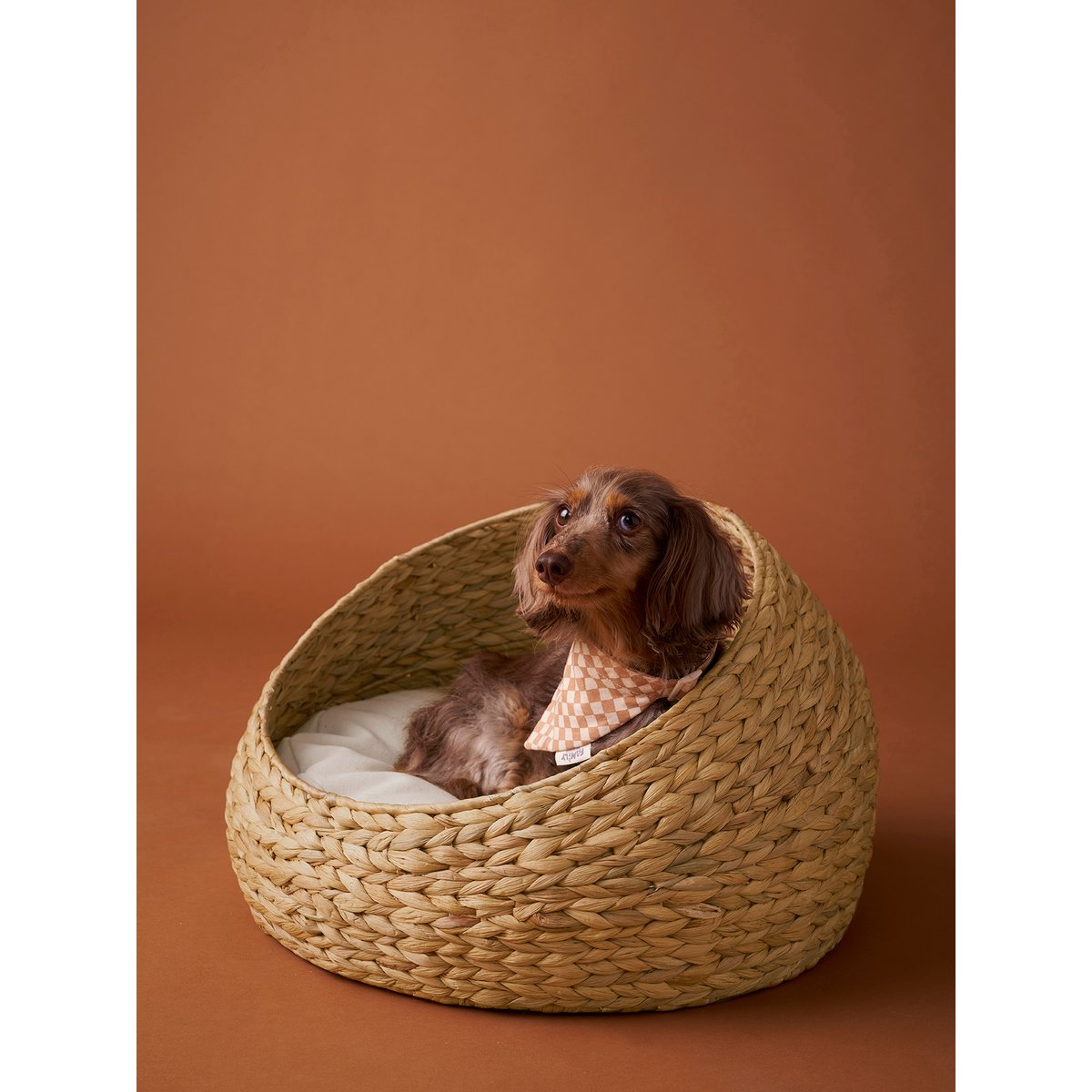 Panier ovale pour chat et chien couleur unique, VERTBAUDET