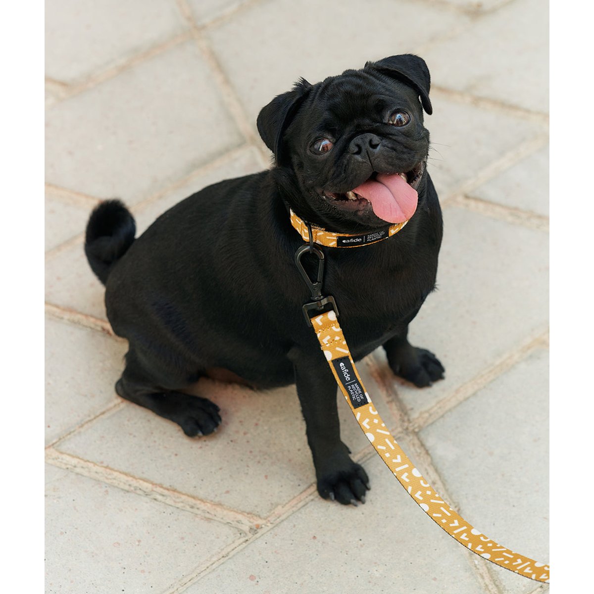 Laisse PET recyclé memphis design, JUNO orange, CAFIDE