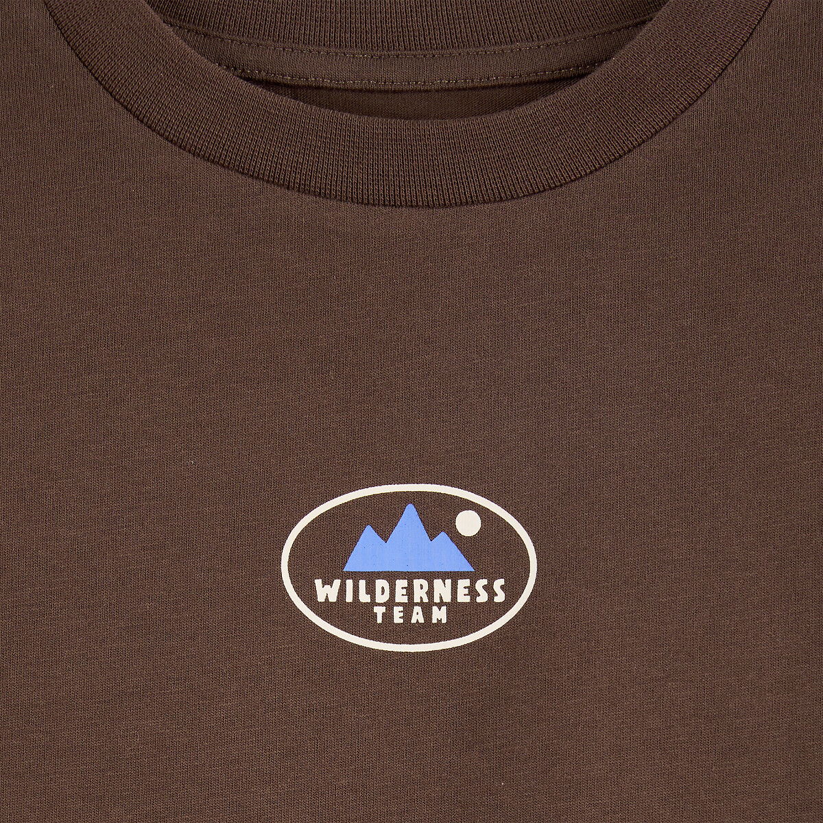 T-shirt manches longues, effet 2 en 1, avec motif devant et message au dos marron, LA REDOUTE COLLECTIONS