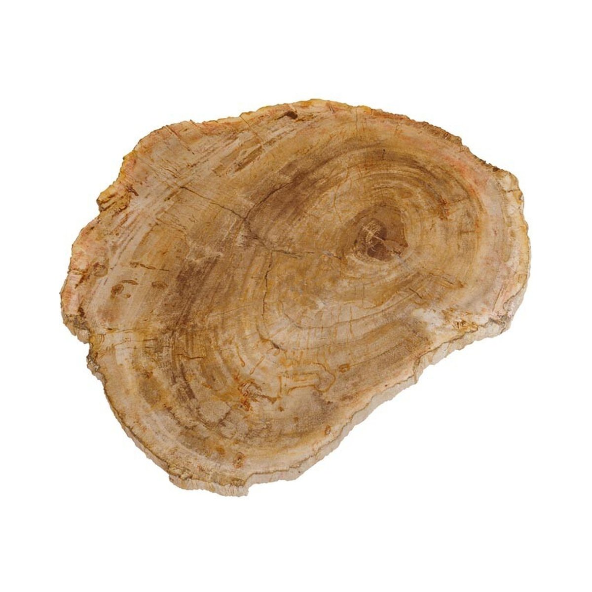 Plateau à découper en bois PÉTRIFIÉ bois clair, CHEHOMA