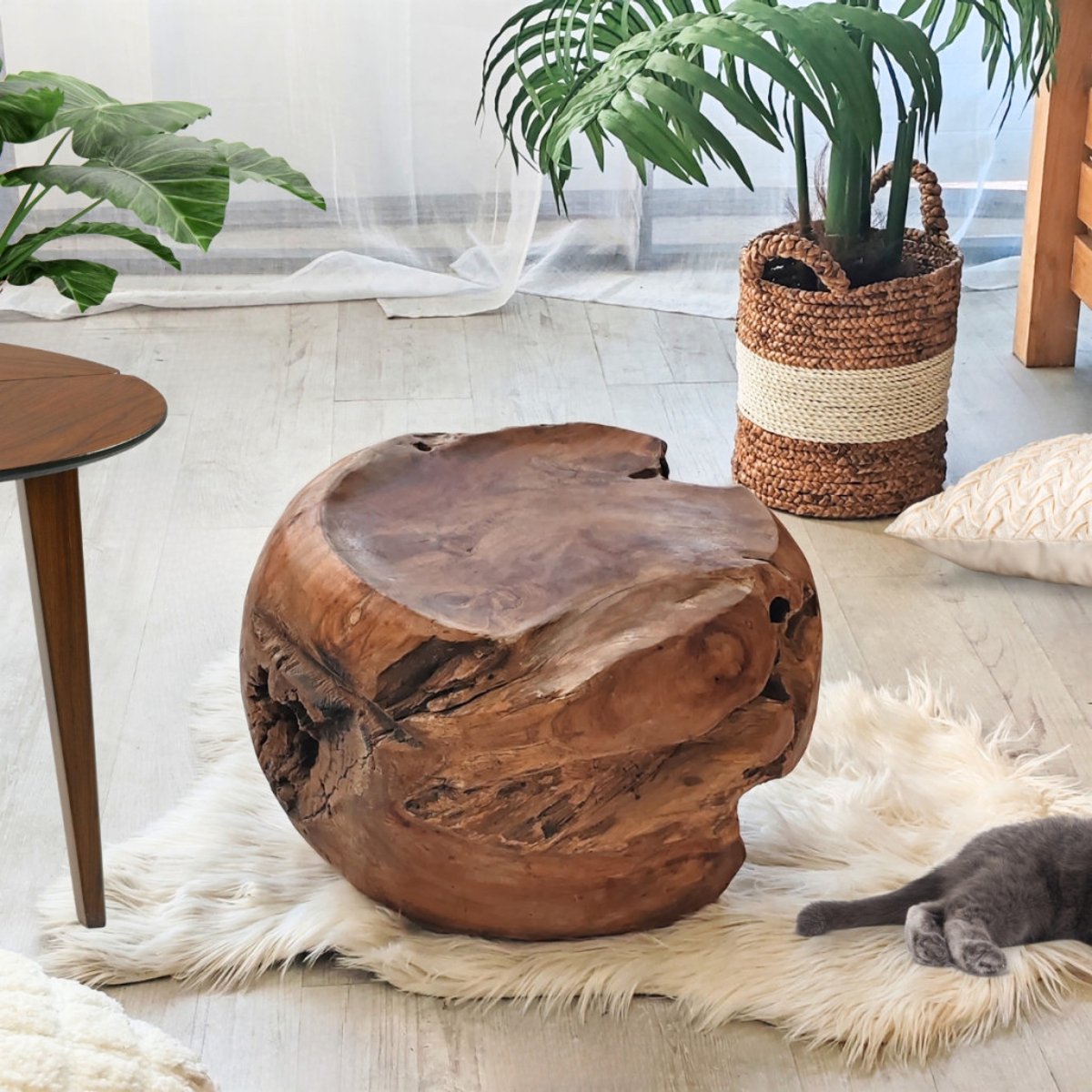 Pouf en racine de teck massif rond naturel, WANDA COLLECTION