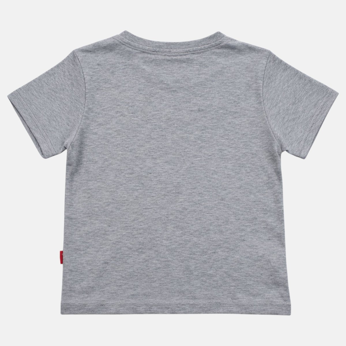 T-shirt manches courtes, col rond SKATE PARK gris, LEE COOPER