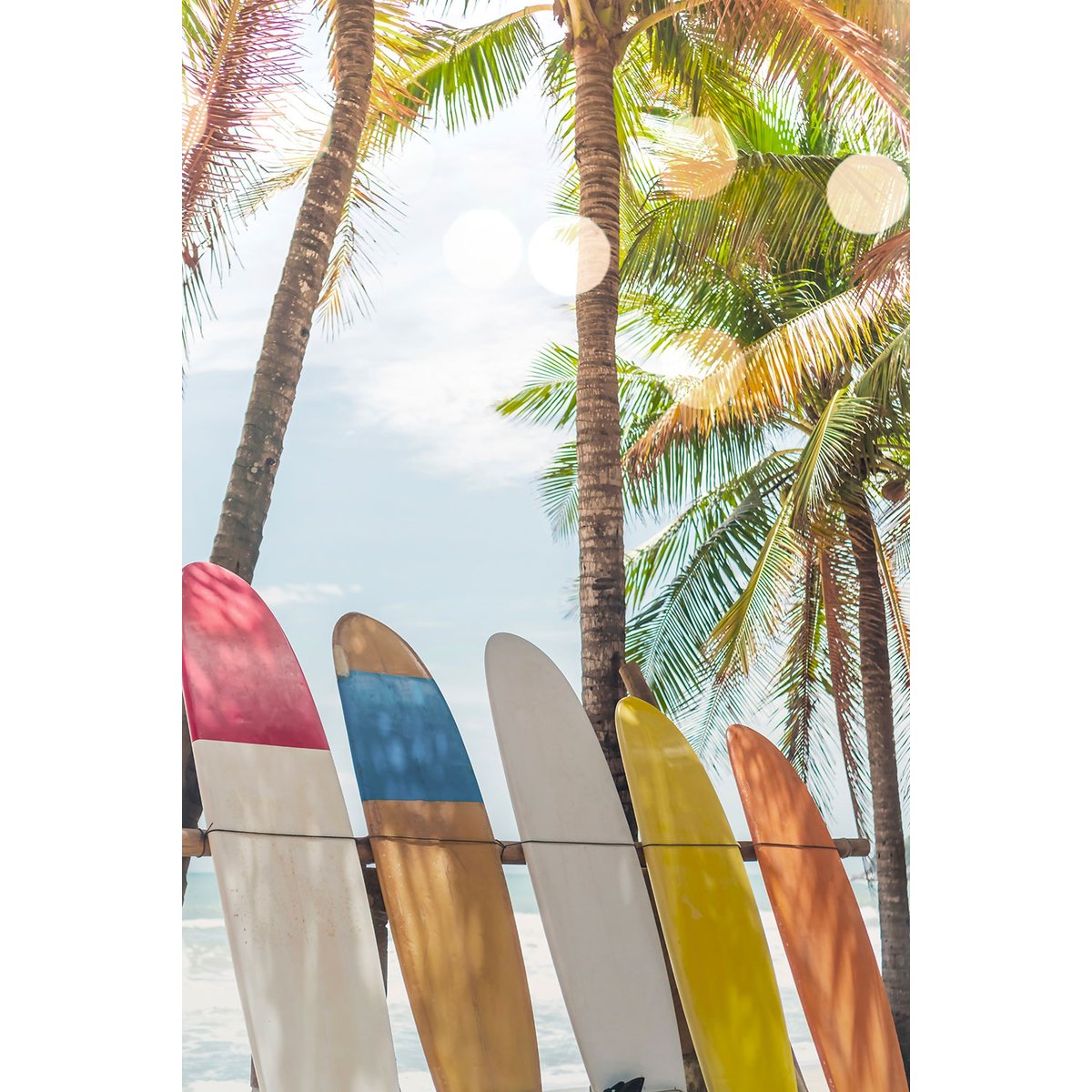 Tableau surf surf et coconut tableau alu dibond, HEXOA