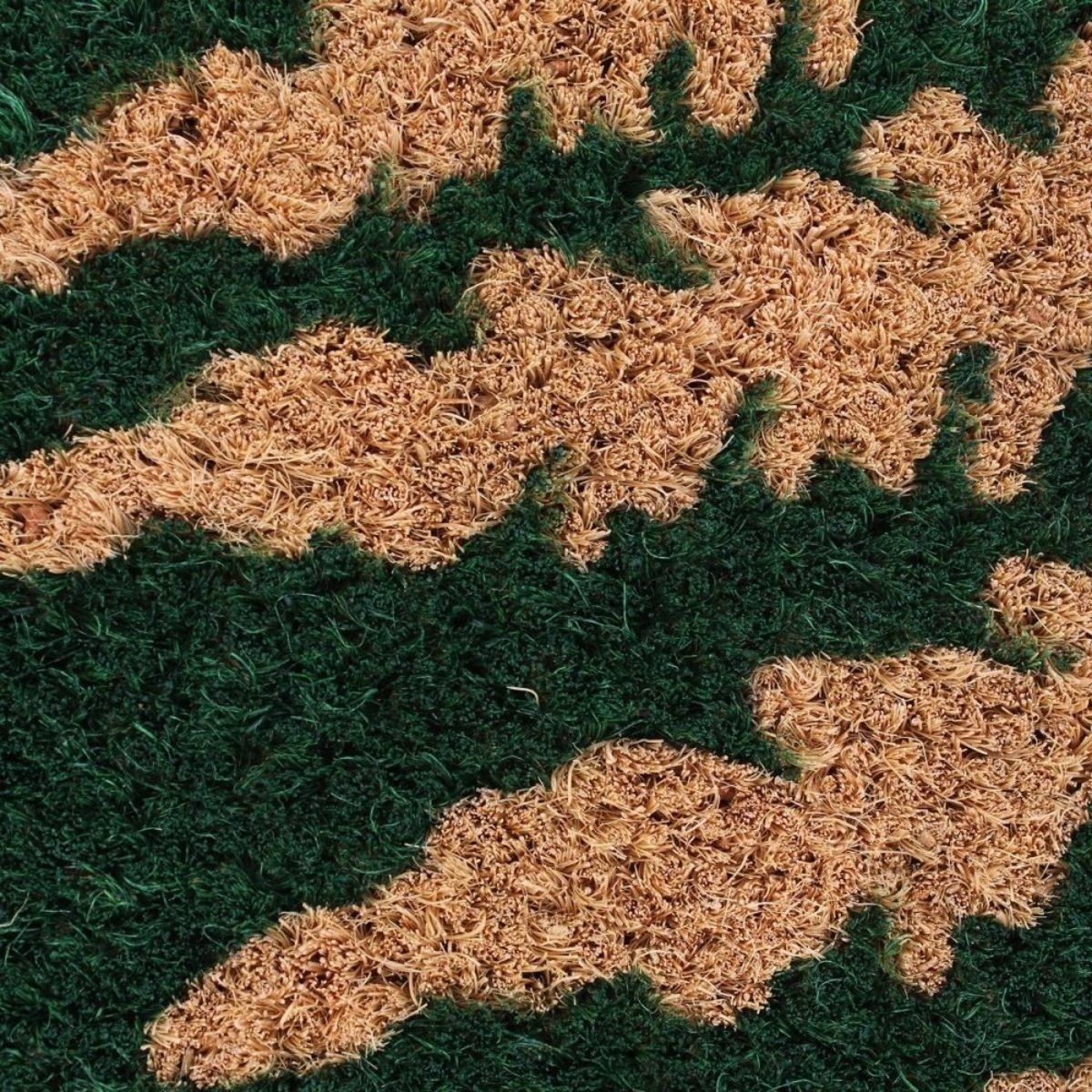 Paillasson de marche coco imprimé fougères 25x75cm vert, ORNAMI