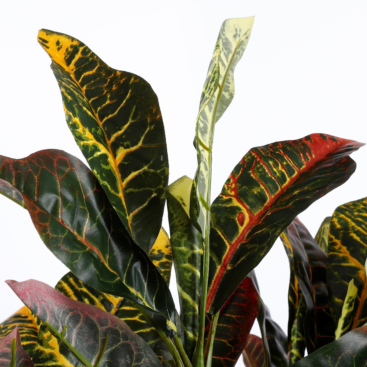 Plante artificielle CROTON vert, MICA DECORATIONS