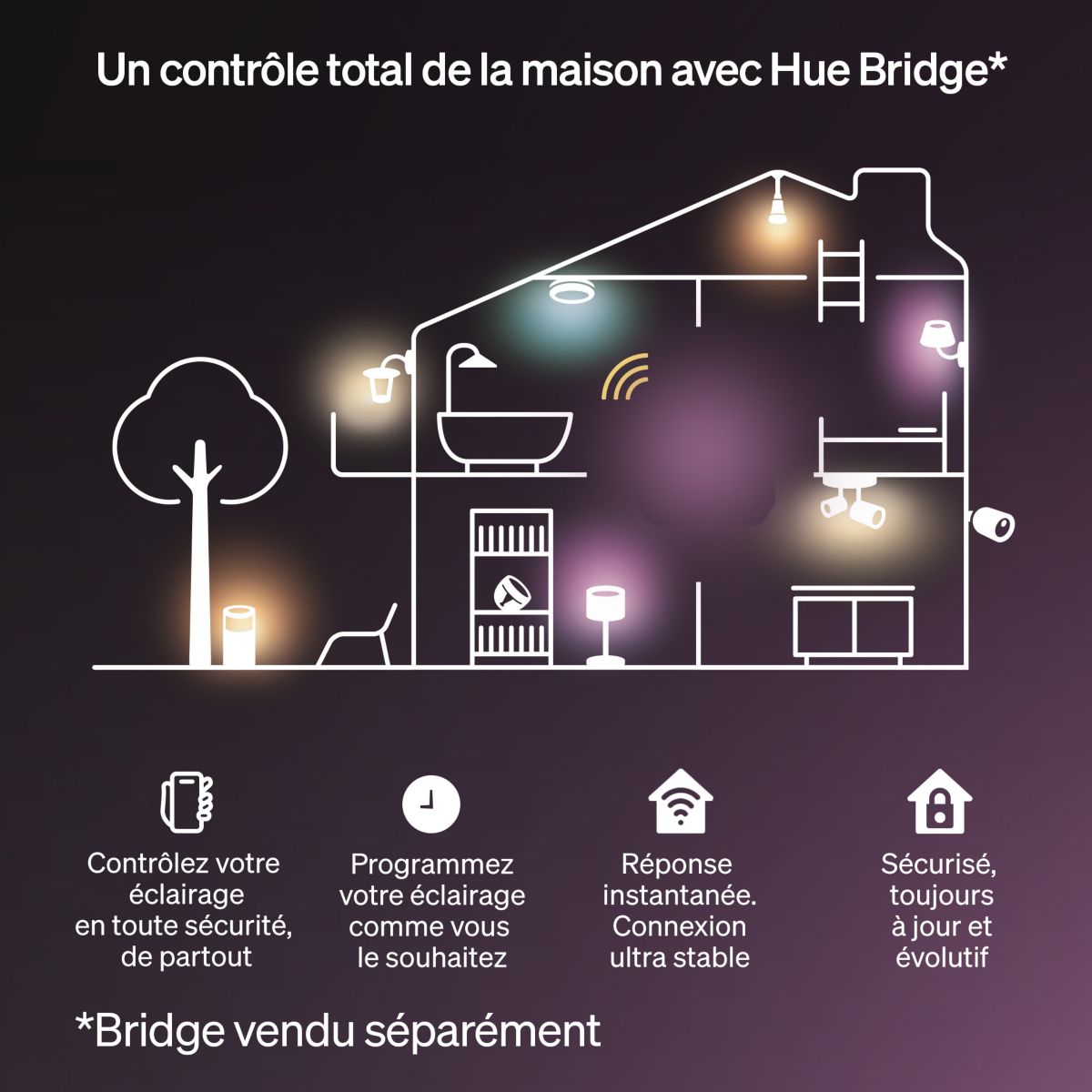 Bandeau LED Essential Flex Strip Light 5m Color Grad couleur unique, PHILIPS HUE