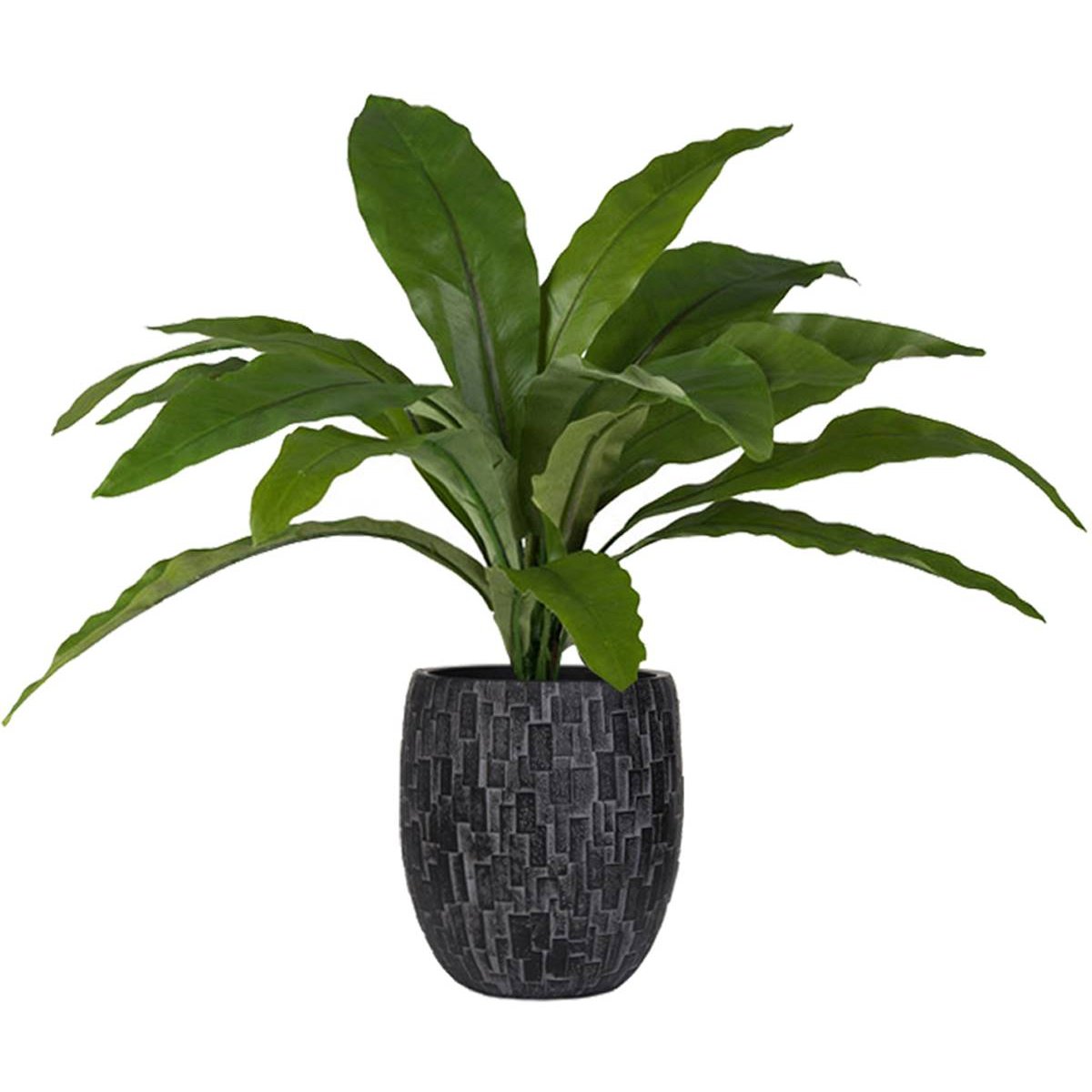 Fougère asplenium artificielle H 30 cm, D 3 v002239, ARTIFICIELLES
