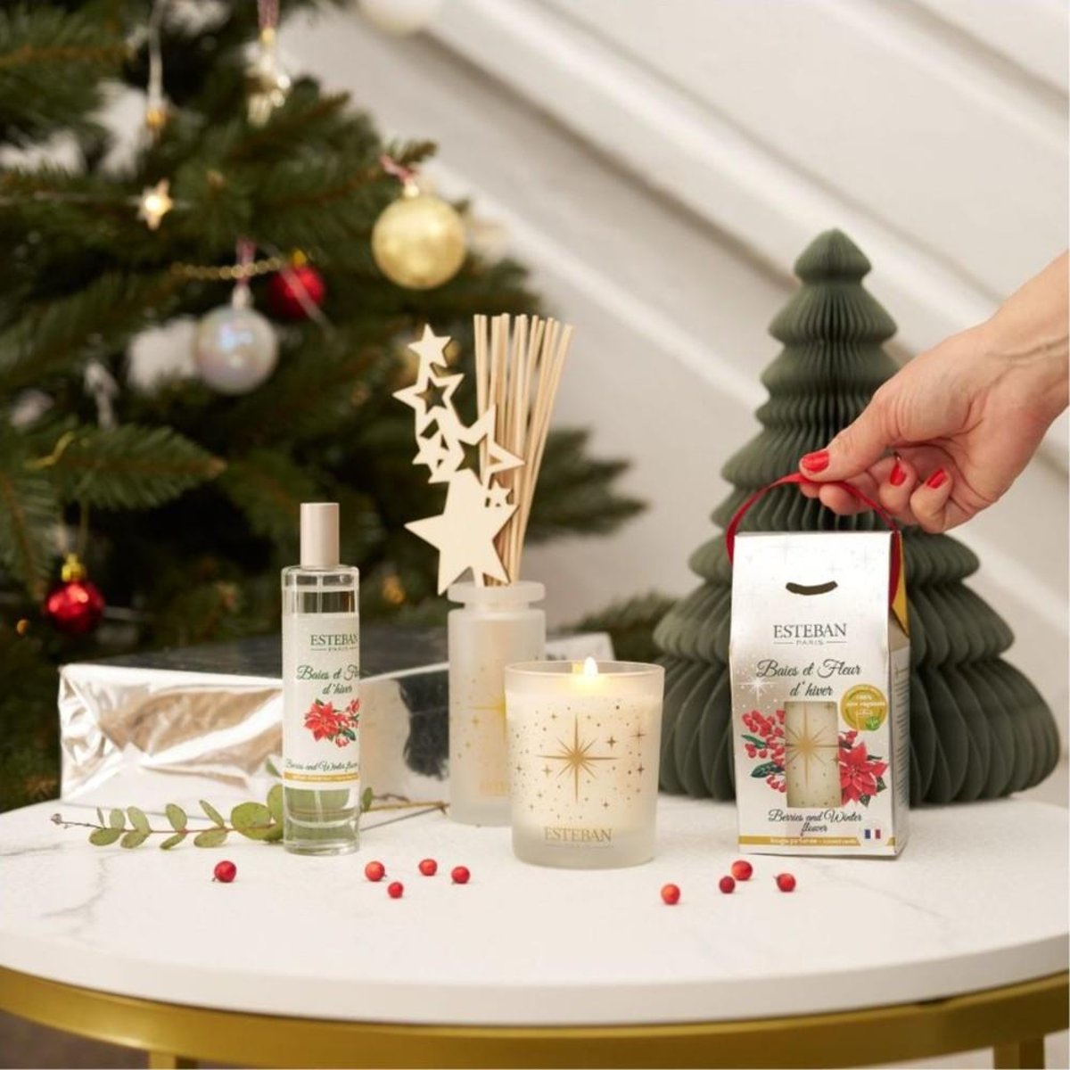 Parfum d'intérieur - Vaporisateur Baies et Fleurs d'hiver 75 ml transparent, ESTEBAN