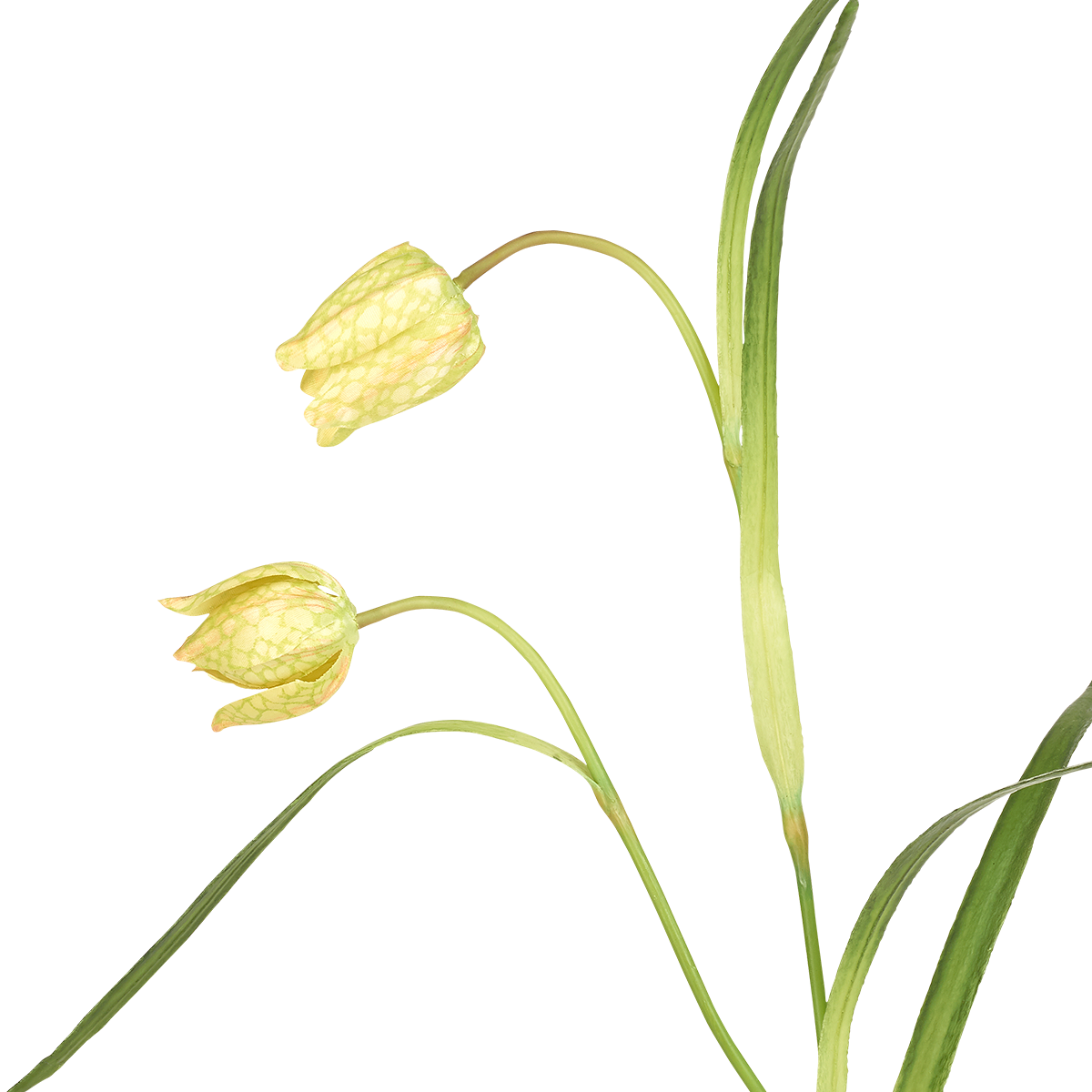 Tige de fritillaria impériale artificielle H70 rouge, SIA DECO