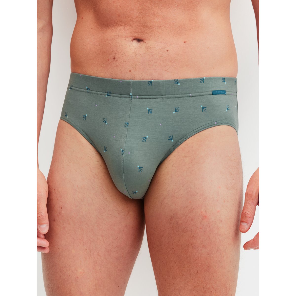 Slip Coton GRAFIC COTTON vert laurier, CALIDA