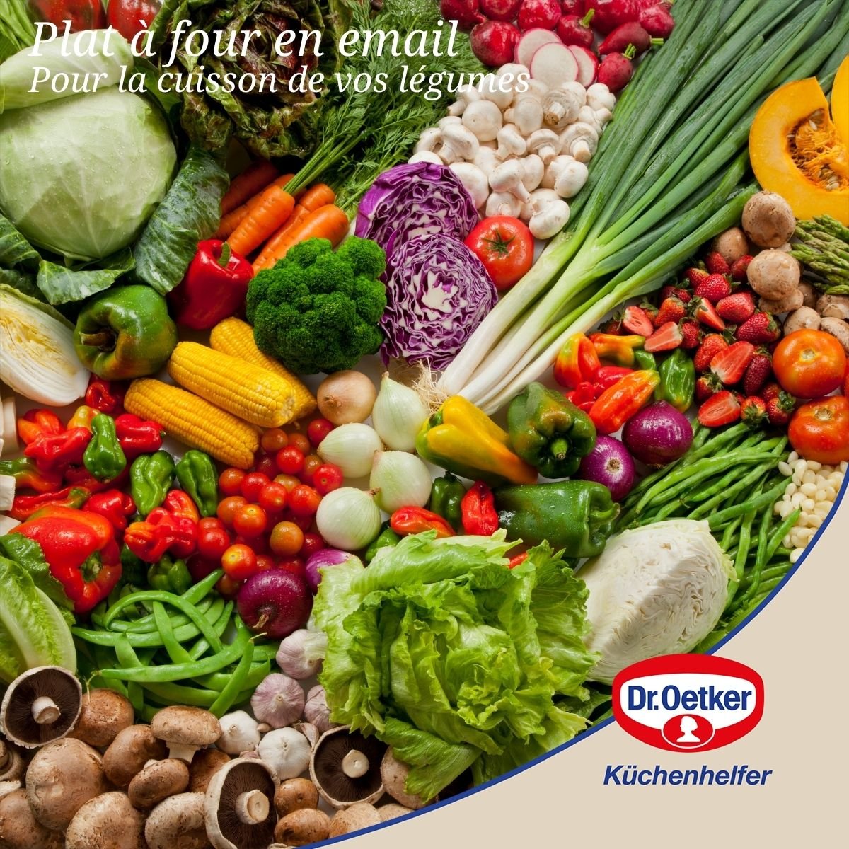 Plat à four avec couvercle BACK-IDEE KREATIV noir, DR OETKER