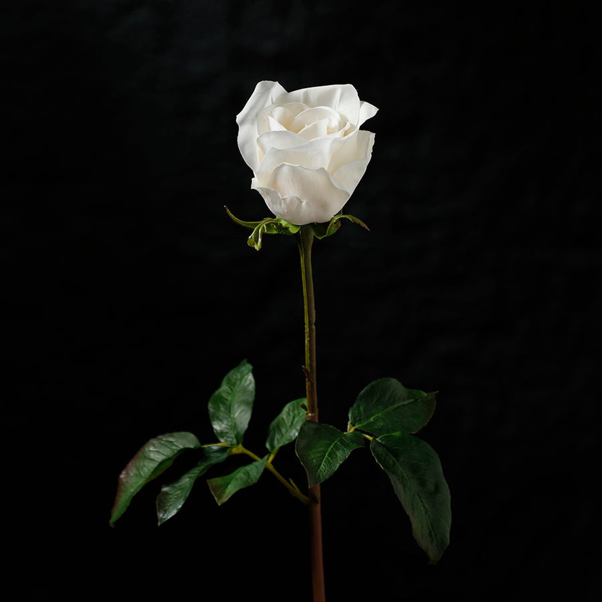 Tige de rose fermée avec feuilles artificielle H50 PREMIUM blanc, SIA DECO