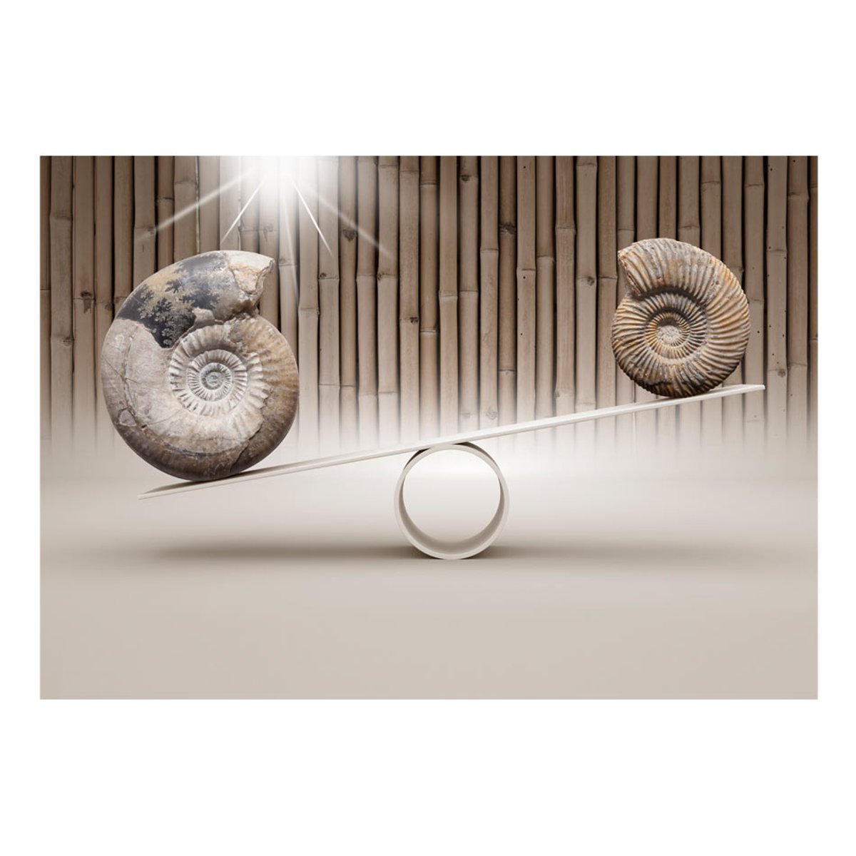 Papier peint intissé panoramique Abstractions Fun with Fossils blanc, EDEN