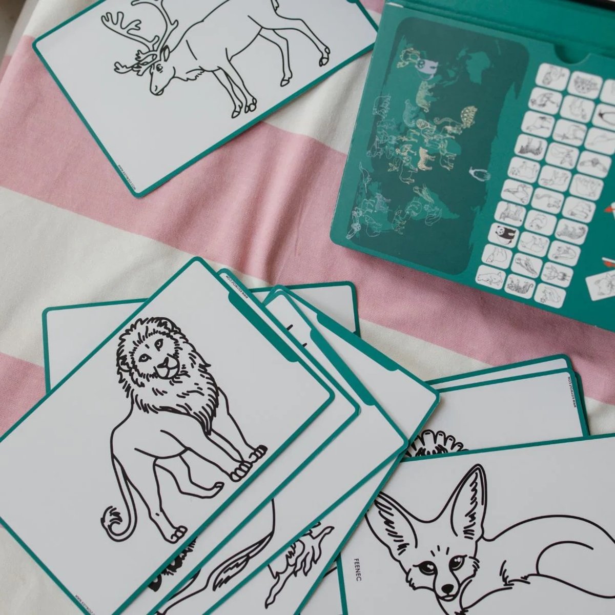 Tablette KIDYDRAW-MINI Animaux du monde orange, KIDYWOLF