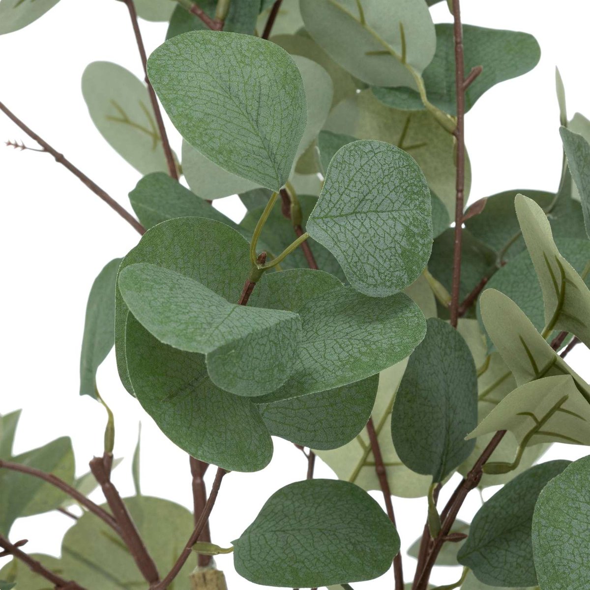 Eucalyptus artificiel en pot CONY vert, ATMOSPHERA