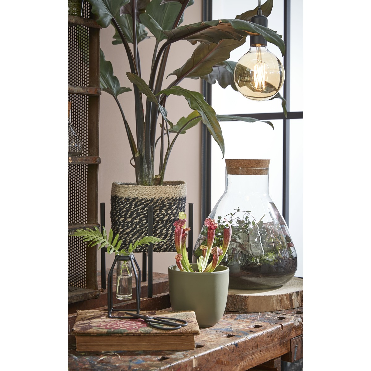 Bocal de conservation EMILY transparent, MICA DECORATIONS