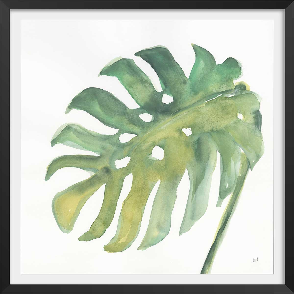 Affiche Plame watercolor affiche + cadre en bois - noir, HEXOA