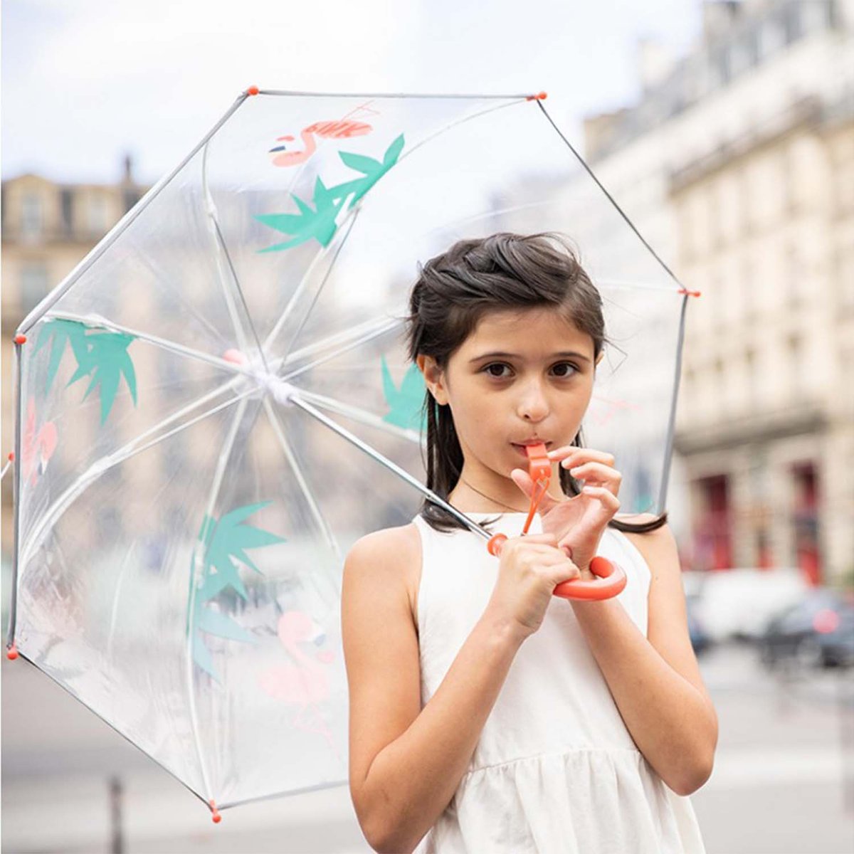 Parapluie transparent, Flamant rose flamant rose, SMATI