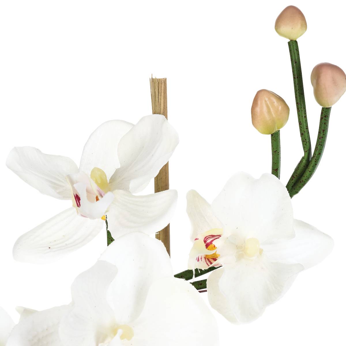 Composition d'orchidées artificielles ORCHIDEE blanc, ATMOSPHERA