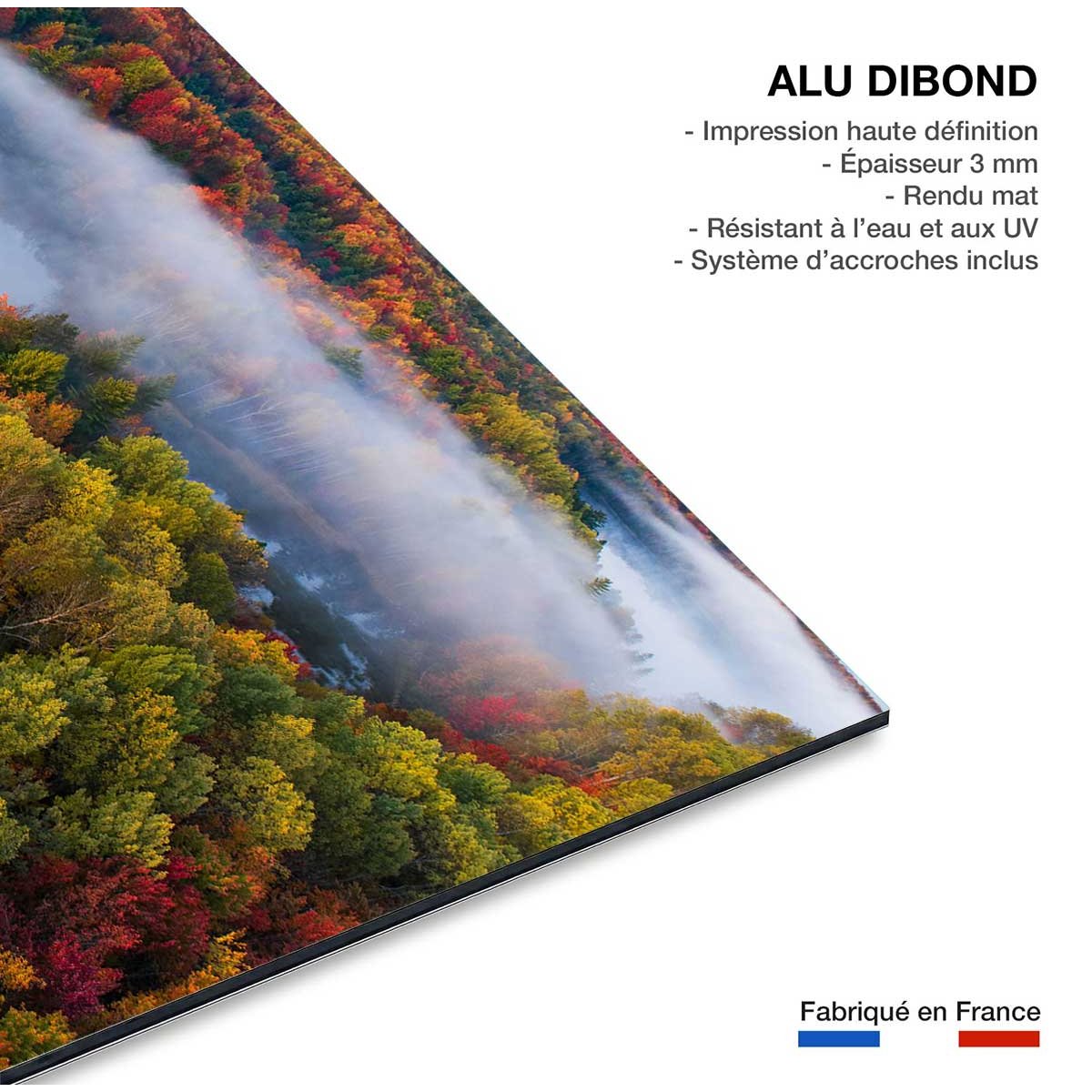 Tableau forêt et symphonie d'automne tableau alu dibond, HEXOA