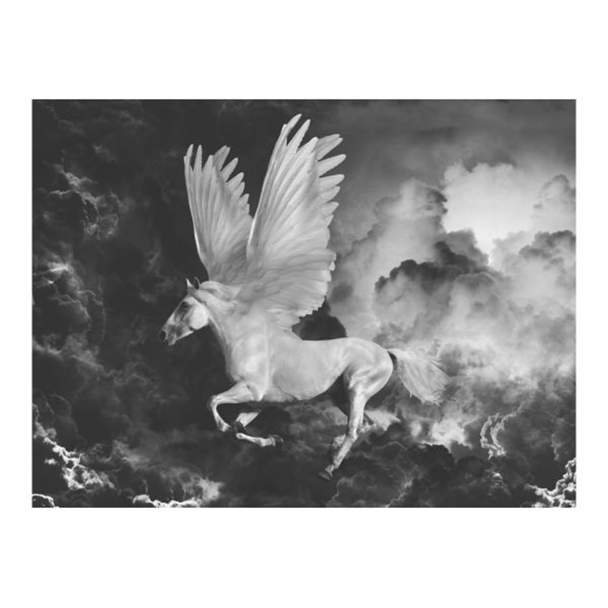 Papier peint intissé panoramique Fantaisie Pegasus sur le chemin de l'Olympe noir, EDEN