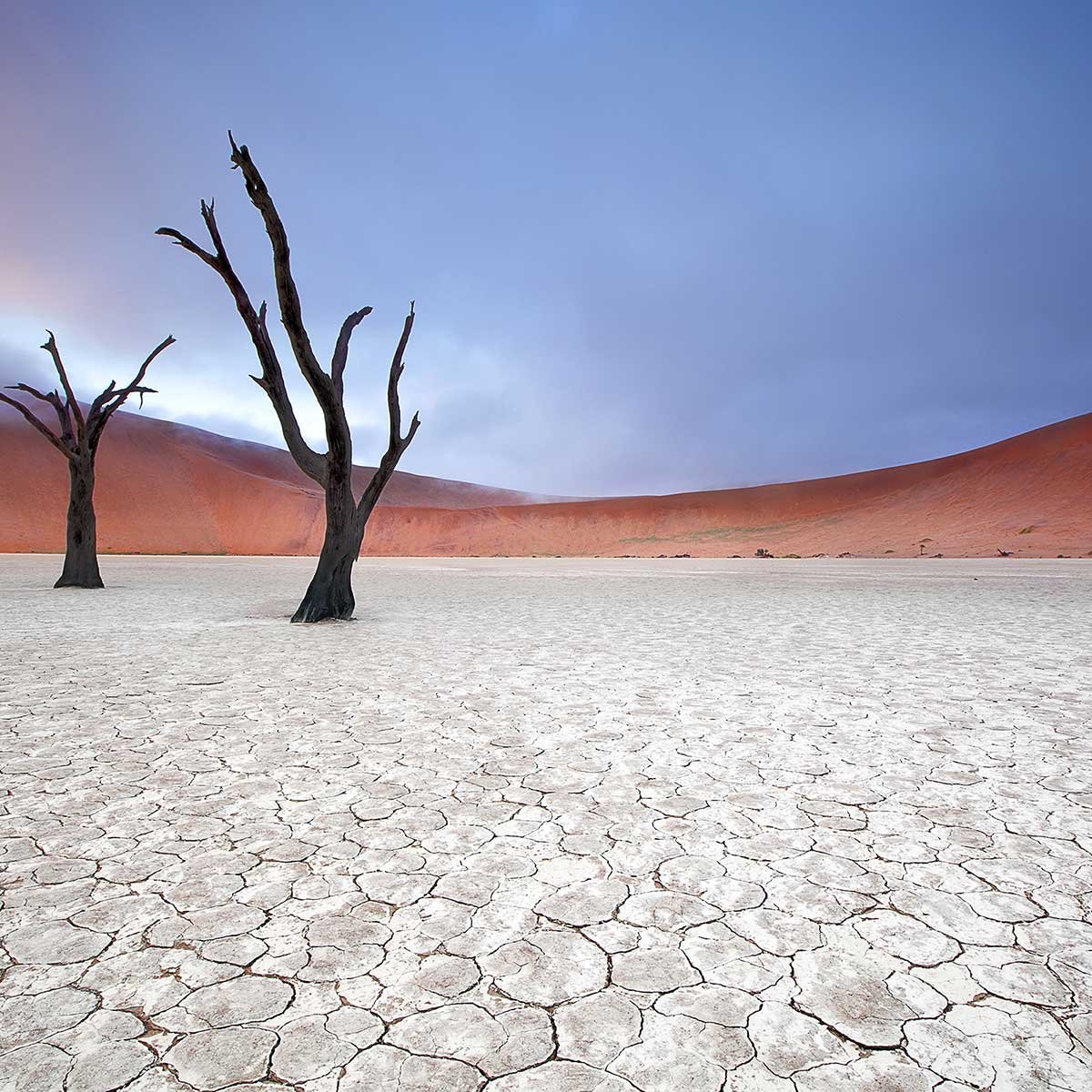 Tableau de Namibie, Le deadvlei tableau alu dibond, HEXOA