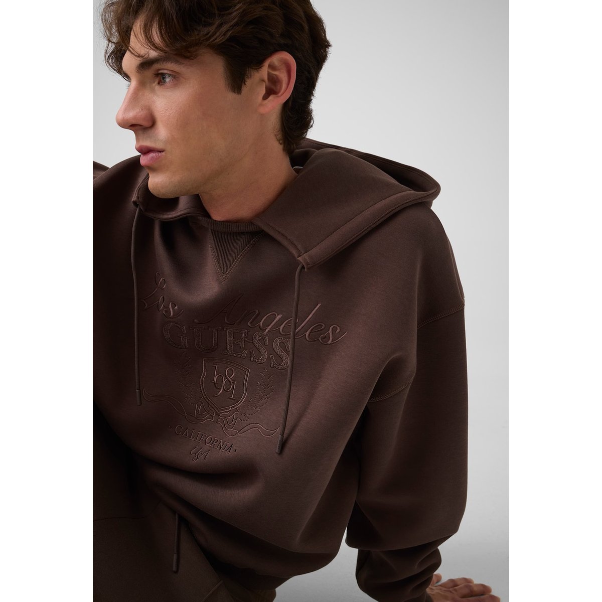 Sweatshirt Avec Logo Brodé marron, GUESS