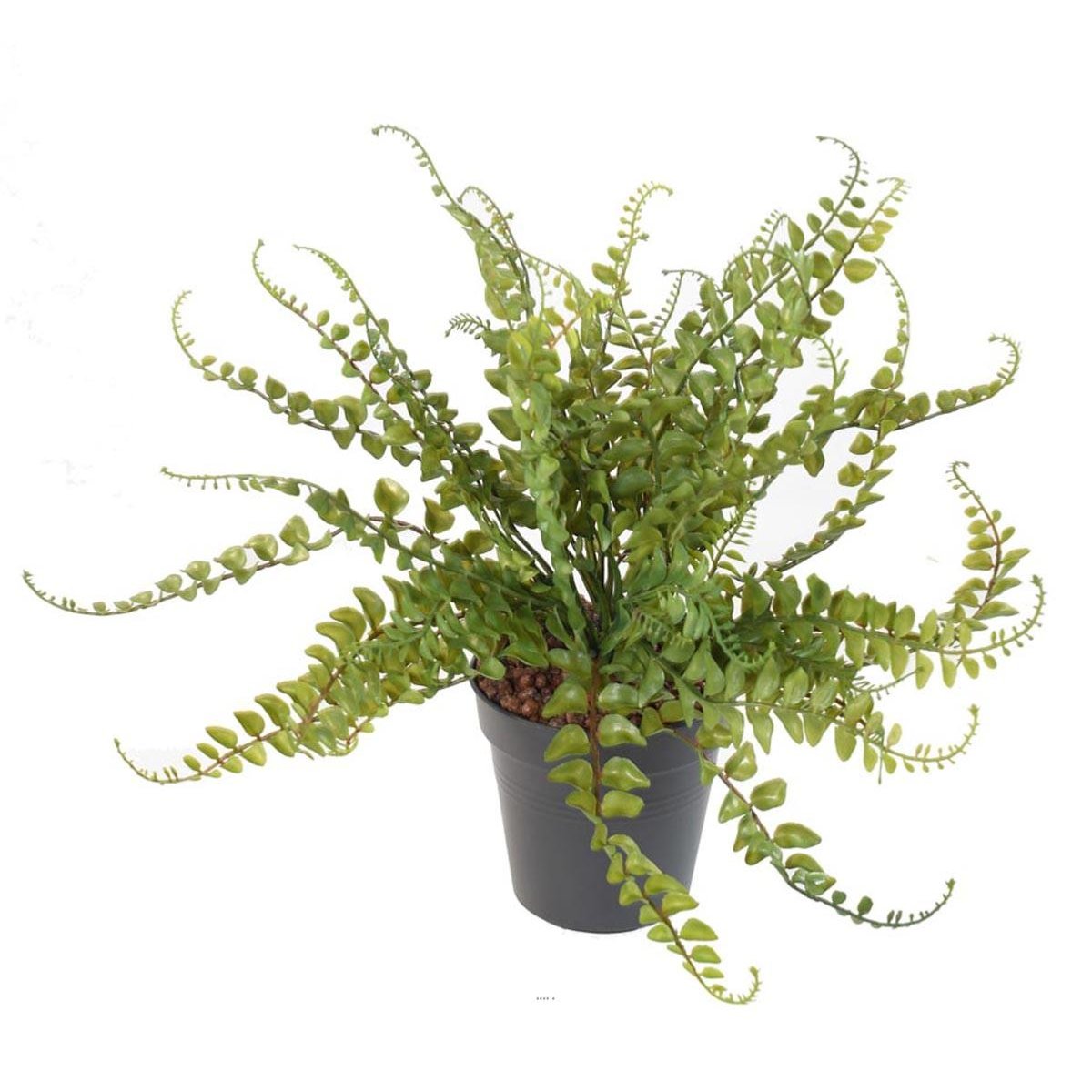 Fougère des forêts H38cm artificielle plast D v002239, ARTIFICIELLES