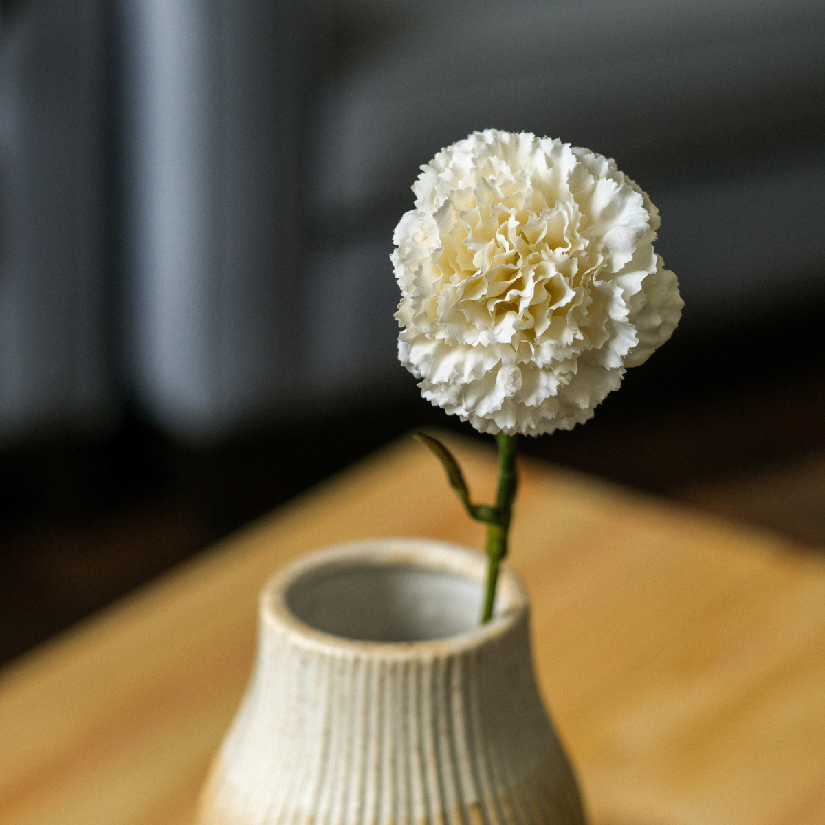 Tige d'œillet artificielle avec feuillage H55 crème, SIA DECO