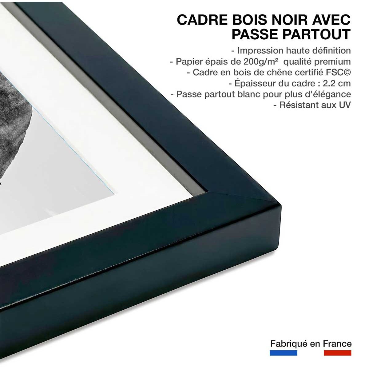 Poster éléphant d'afrique affiche + cadre en bois - noir, HEXOA