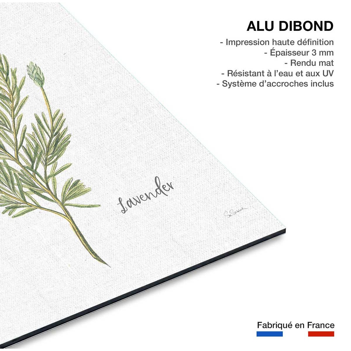 Tableau fleurs Lavande illustrée tableau alu dibond, HEXOA