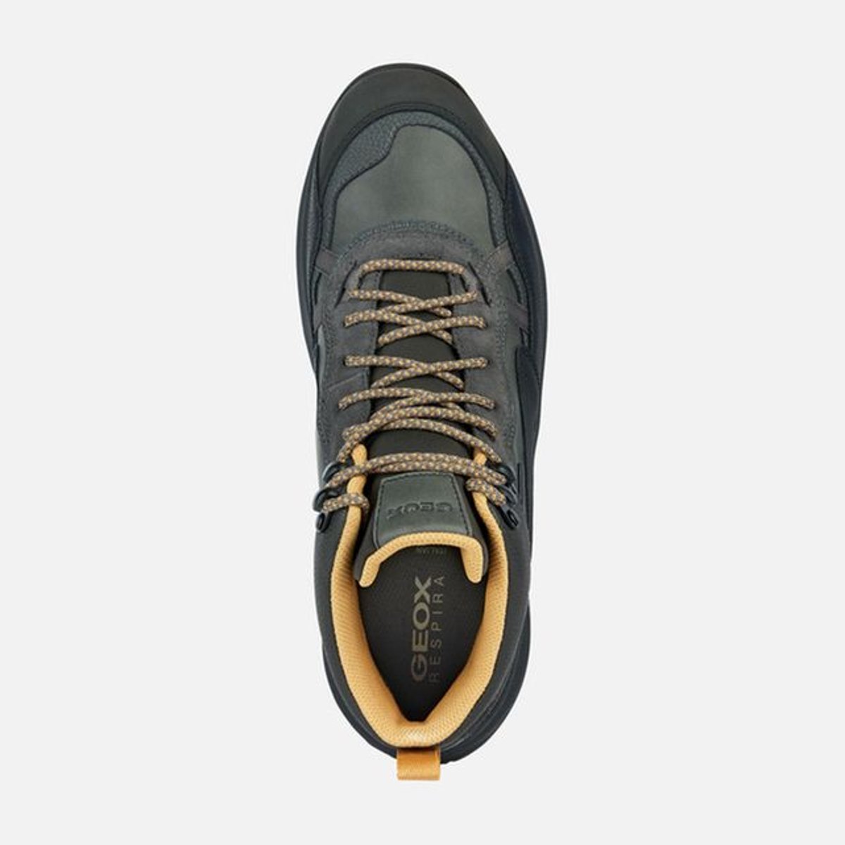 Baskets U TERRESTRE B ABX anthracite/noir, GEOX