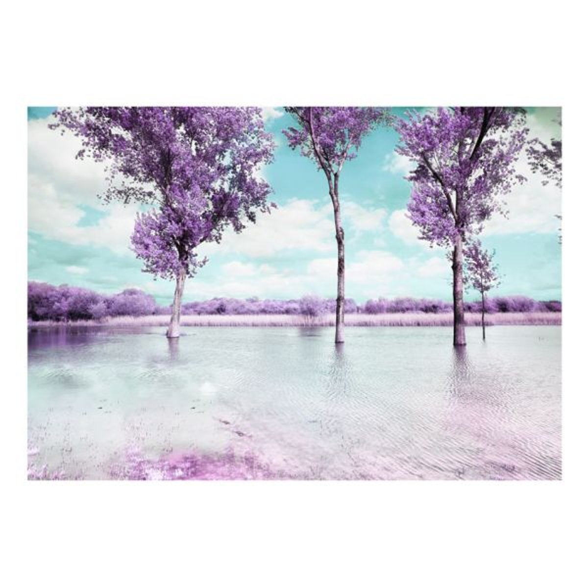 Papier peint intissé panoramique Paysage Paysage de bruyère blanc, EDEN