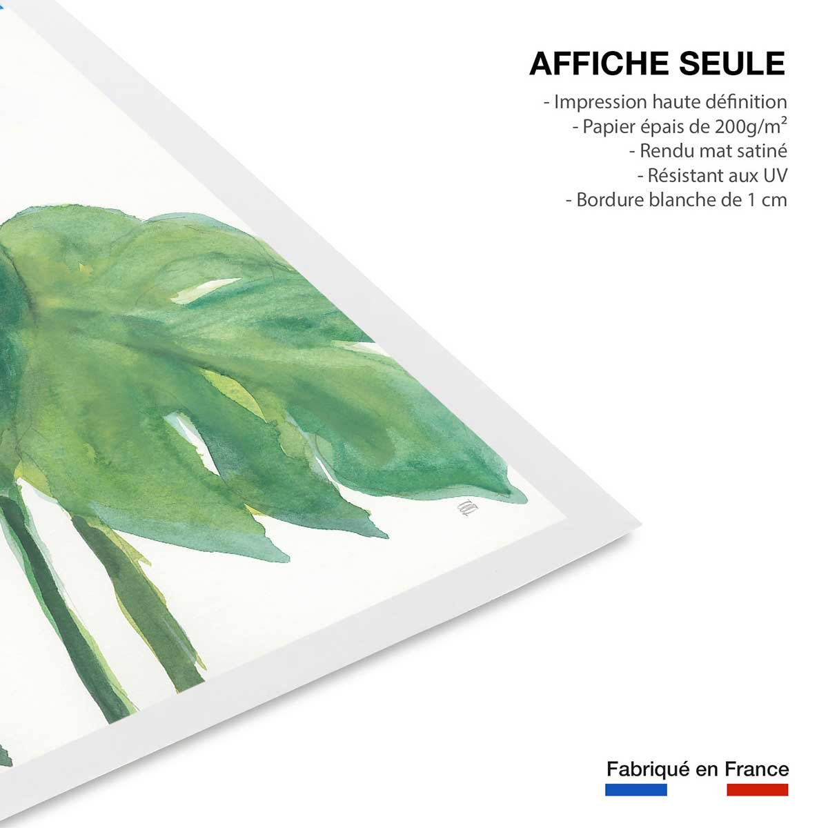 Affiche Plante monstera watercolor affiche seule, HEXOA