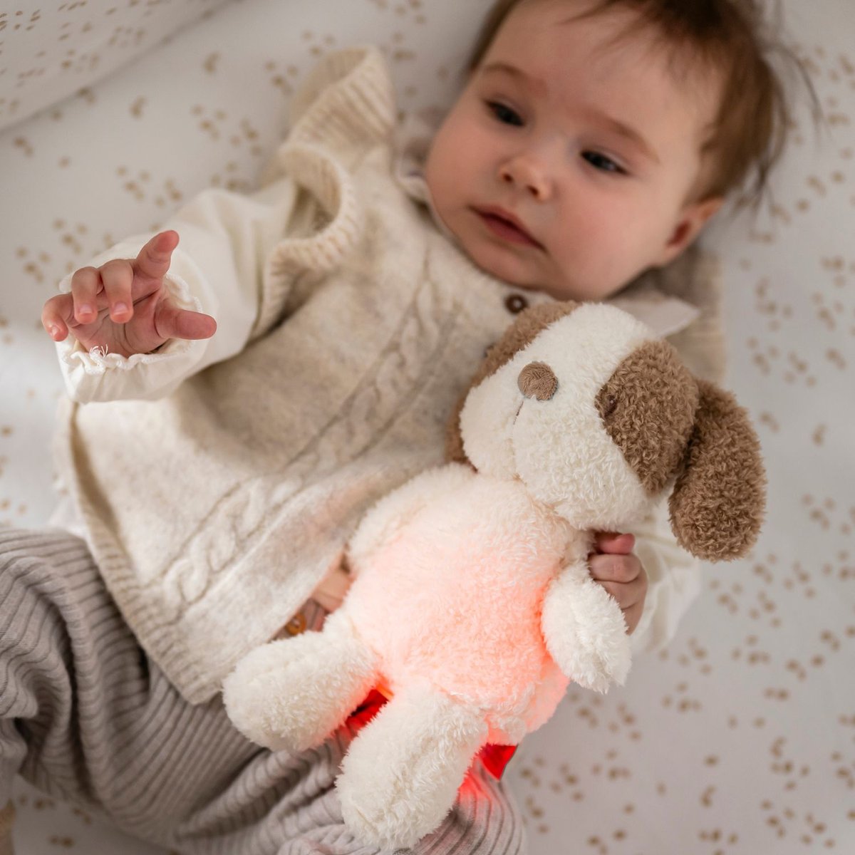 Peluche veilleuse ecru, marron, NATTOU