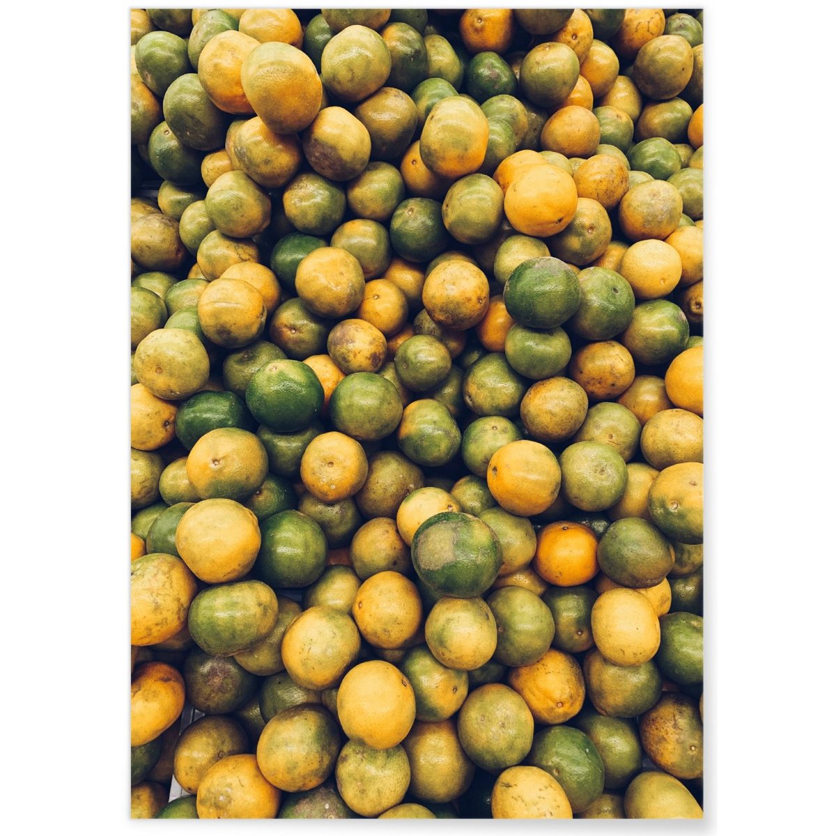 Poster Nature Fruits blanc, L'AFFICHERIE