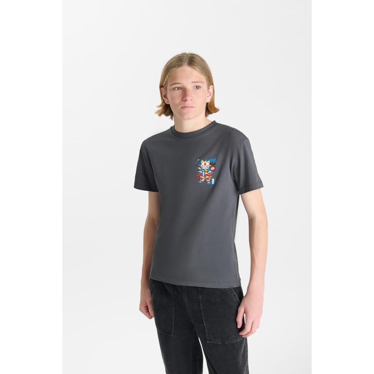 Tee-Shirt TEGABO steel, LE TEMPS DES CERISES