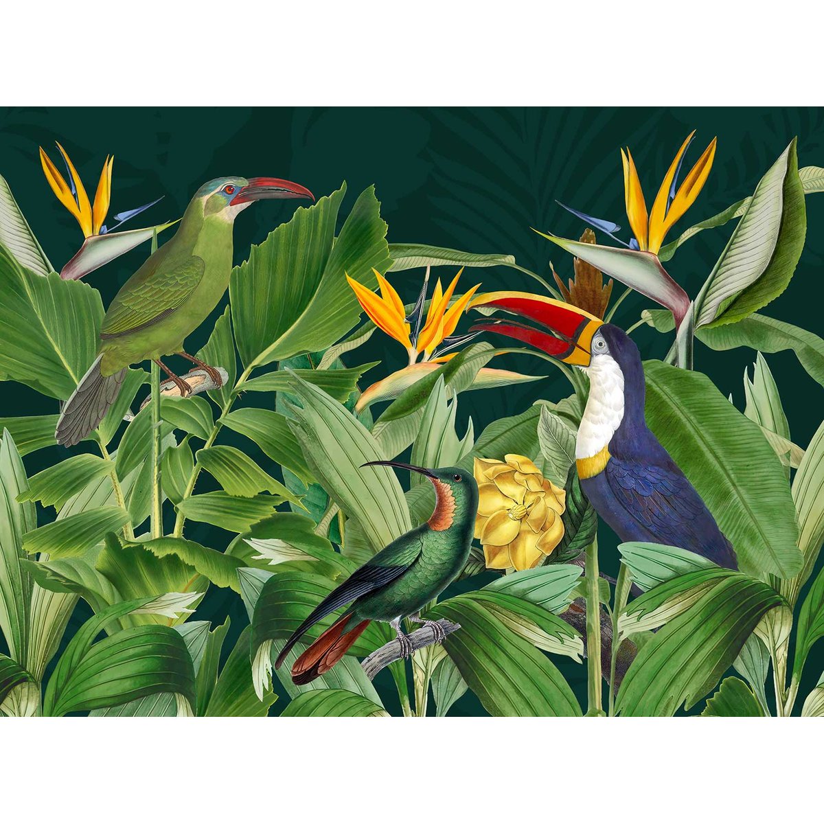 Papier peint oiseaux des tropiques intissé, HEXOA
